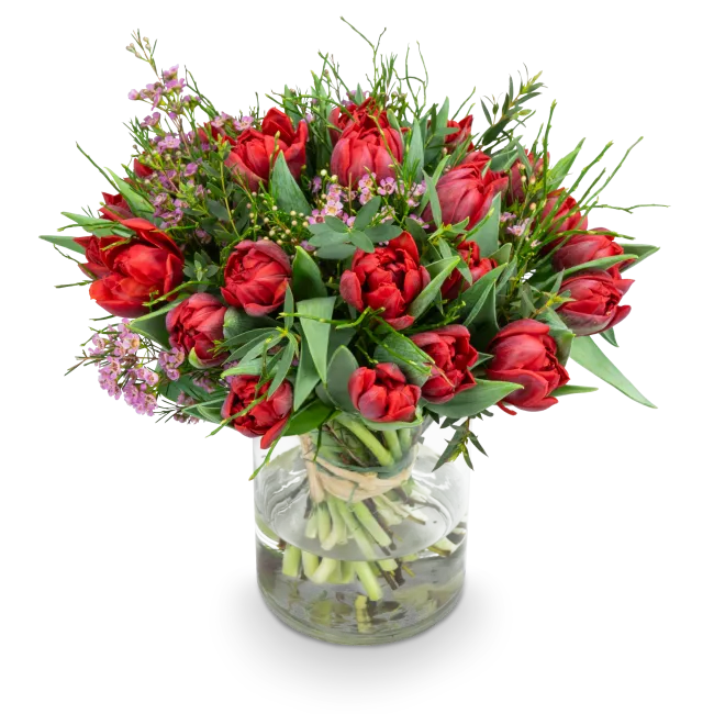 Kytice prémiových tulipánů